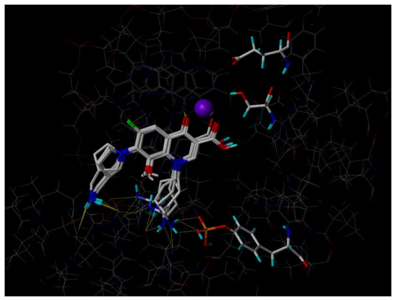Towle et al. 2018 Figure 2: six overlaid predicted docking poses of an N-1-modified fluoroquinolone near the topoisomerase active-site tyrosine